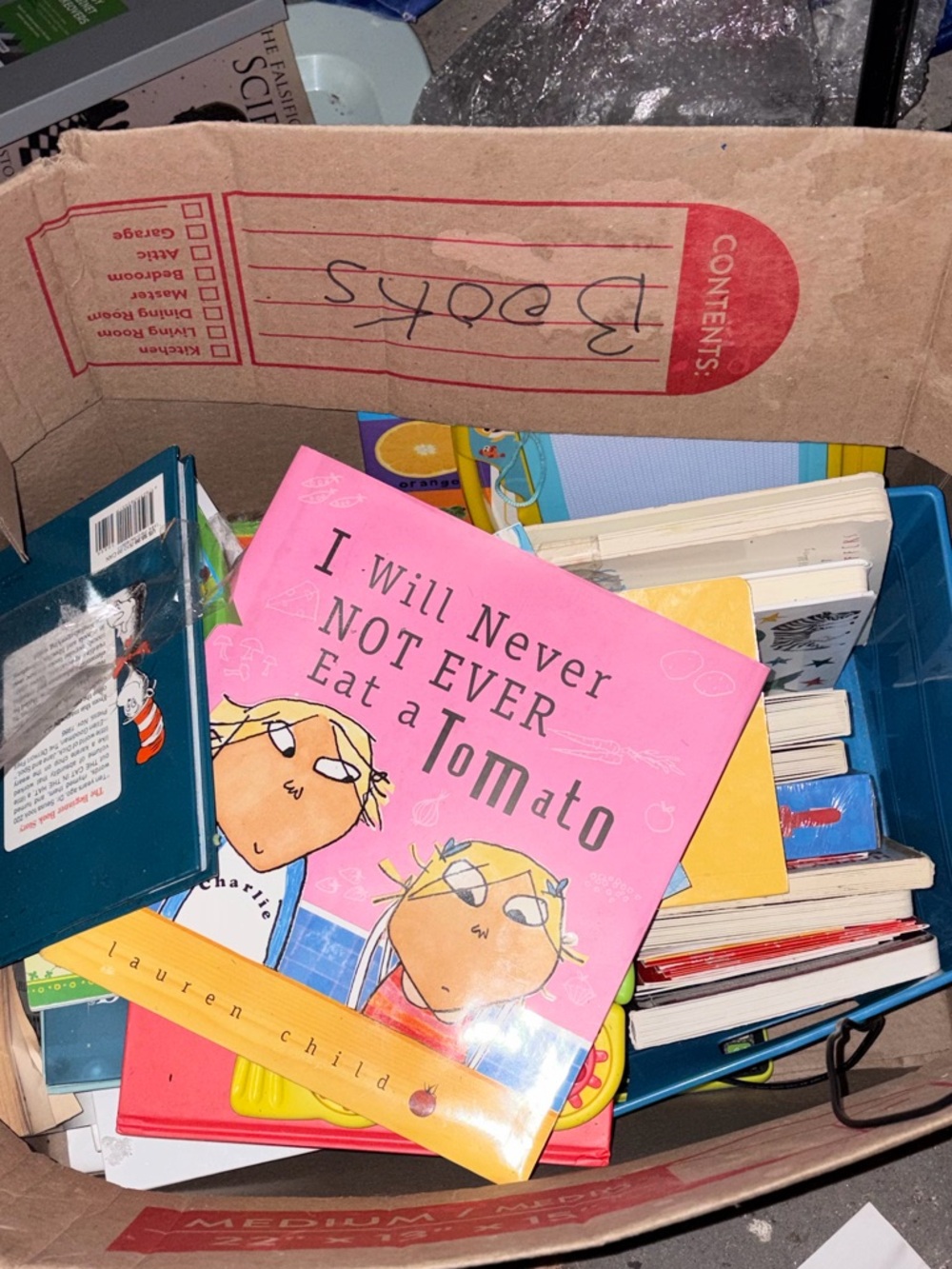 Children's Book Bundle